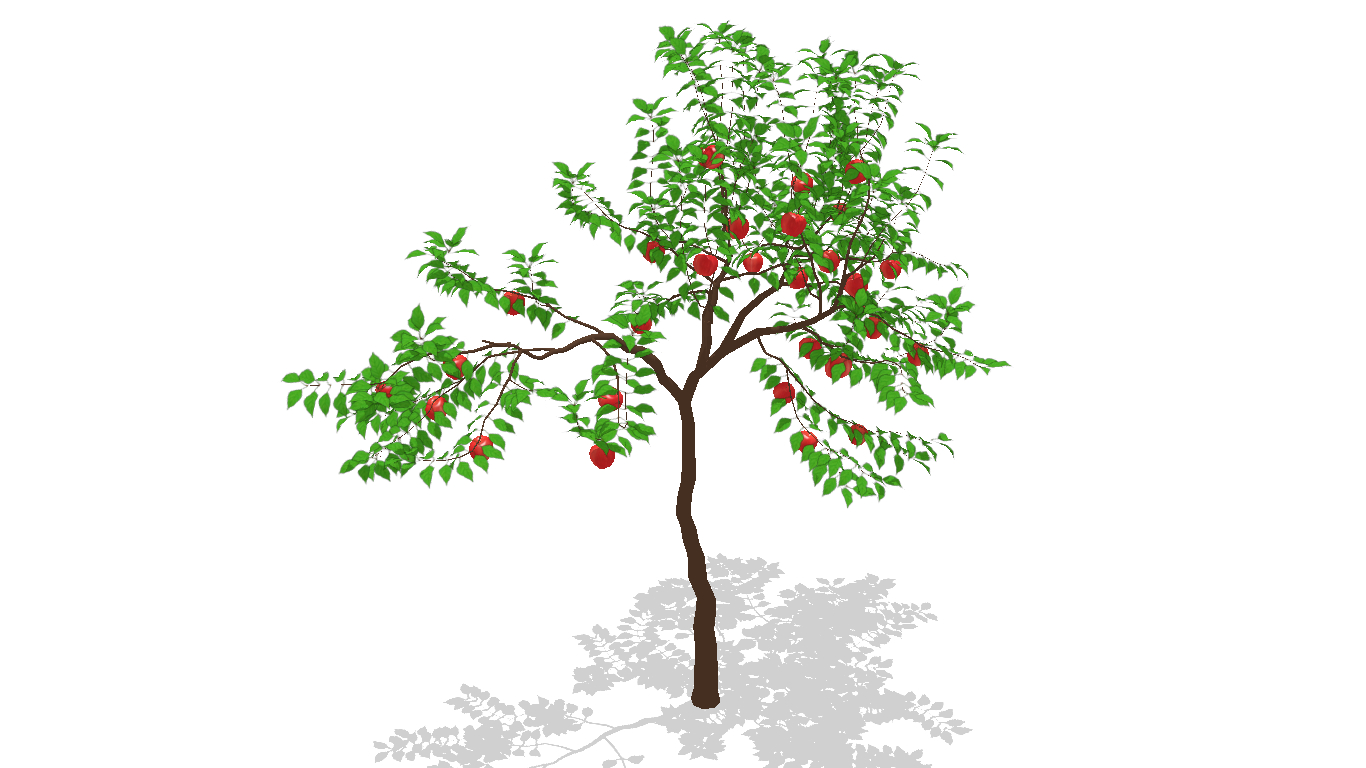 Free 3D Apple Tree
